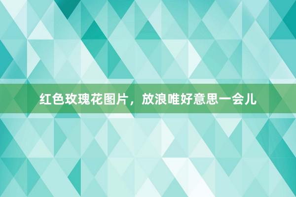 红色玫瑰花图片,放浪唯好意思一会儿